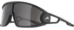 Alpina Legend black matt schwarz (31) one size