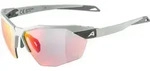 Alpina Twist SIX HR QV smoke-grey matt quattro/variofl.mirror+ rainb. (22) one size