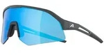 Alpina Sonic HR Q midnight-grey matt mirror blue (22) one size