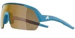 Alpina Turbo HR smoke-grey matt mirror gold (81) one size