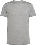 Icebreaker Men Merino Blend 125 Cool-lite Sphere Short Sleeve Tee metro hthr (016) XS