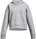 Under Armour Rival Fleece Hoodie gray white (011-100) M