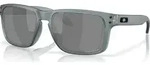 Oakley Holbrook matte crystal black/prizm black polar (9102Z4)