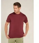 Icebreaker M Mer 150 Tech Lite III Short Sleeve Tee port (IB01C) S
