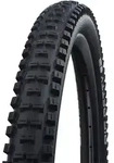 Schwalbe BIG Betty Performance Line DD TLE schwarz 62-584