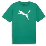 Puma Teamrise Logo Jersey Cotton sport green-puma white (05) S