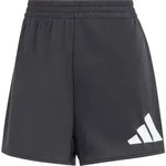 adidas Workout Essentials Big Performance Logo Training Shorts black (095A) L