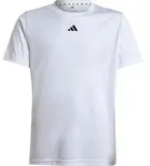 adidas Train Essentials Logo Regular Fit T-shirt Junior white-black (001A) 164