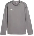 Puma Teamgoal Training Sweat Jr cast iron-puma white-shadow gray (13) 116