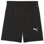Puma Teamfinal Training Shorts puma black-puma silver (03) S