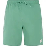 Protest Prtbaky Beachshort frosty green (657) S