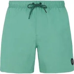 Protest Faster Beachshort frosty green (657) S
