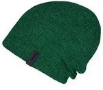 Barts Rhodoz Beanie green (14)
