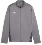 Puma Teamgoal Training Jacket Jr cast iron-puma white-shadow gray (13) 116