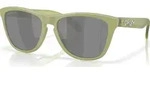Oakley Frogskins matte fern/prizm black polar (9013M2)