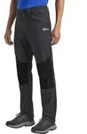 Jack Wolfskin Hiking Alpine Pants M phantom (6350) 46 Regular