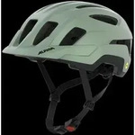 Alpina Paranus Mips willow-green matt (21) 55-59