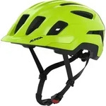 Alpina Paranus be-visible gloss (47) 55-59