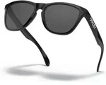 Oakley Frogskins polished black/grey (24-306)