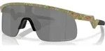 Oakley Resistor fern terrazzo/prizm black (901032)