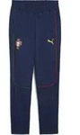 Puma FPF Casuals Pants persian blue-sunny yellow (17) XL