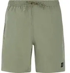 Protest Prtbaky Beachshort artichoke green (476) XS