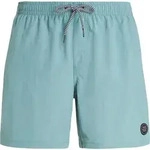 Protest Faster Beachshort arcticgreen (486) XS