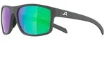 Alpina Nacan I POL midnight-grey matt mirror green (22) one size