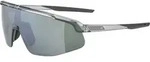Alpina Turbo Pro Q-lite grey transparent mirror silver (22) one size