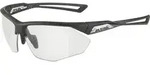 Alpina Nylos HR black transparent mat clear (33) one size
