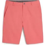 Puma Dealer Short 10" peach frost (40) 33