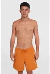 O'Neill Cali 16'' Swimshorts cinnamon stick (12528) M