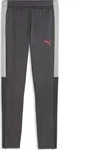 Puma Individualliga Training Pants Jr strong gray-puma red-gray echo (01) 176