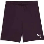 Puma Teamgoal Shorts midnight plum-puma white (40) S