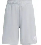 adidas Entrada26 Shorts Kids team light grey-white (ADFE) 104
