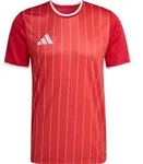 adidas Entrada26 Graphic Jersey team power red 2-white (AEPU) M