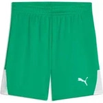 Puma teamLIGA26 Shorts Jr sport green-puma white-puma white (05) 116