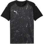 Puma Teamfinal Graphic Jersey puma black-puma white-flat dark gray (03) 3XL