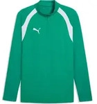 Puma teamFINAL26 Training 1/4 Zip Top sport green-puma white-puma white (05) S