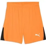 Puma teamLIGA26 Shorts rickie orange-puma white-puma black (08) S