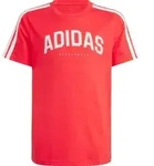 adidas Codes Collegiate Graphic T-shirt pure ruby (AFDF) 164
