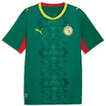 Puma FSF Away Jersey Replica wild green-puma red (02) S