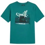 O'Neill O'neill Slub Graphic T-shirt botanical heat (15097) 152