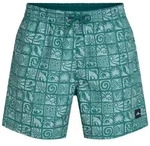 O'Neill O'neill Print 16'' Swimshorts blue bricks (35200) M
