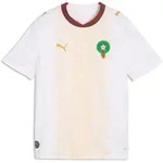 Puma Frmf Away Jersey Replica Jr puma white-victory gold (02) 176