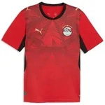 Puma EFA Home Jersey Replica puma red-intense red (01) S