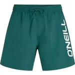 O'Neill O'neill Logo 16'' Swimshorts botanical heat (15097) M