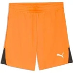Puma teamLIGA26 Shorts Jr rickie orange-puma white-puma black (08) 140