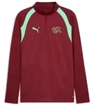 Puma SFV Training 1/4 Zip Top team regal red-green glimmer (09) S