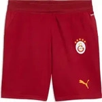 Puma GSK Home Jersey Replica Jr dark cherry-summer sunset (01) 176
